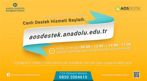 Betine 7/24 Canlı Destek Hizmeti Sunuyor Mu